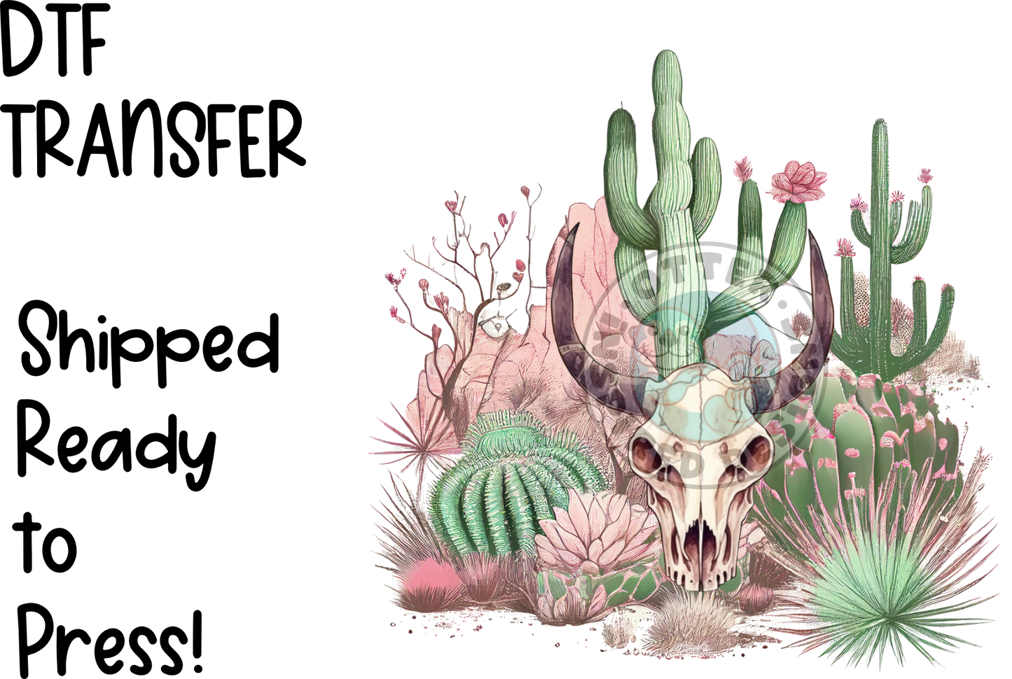 Western Pink Desert Cactus -High Quality Print